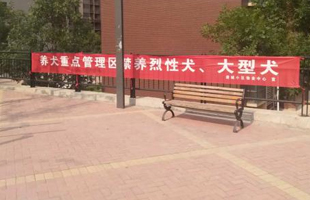 規(guī)范社區(qū)居民群眾依法養(yǎng)犬、文明養(yǎng)犬