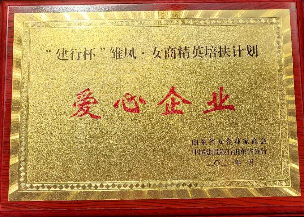 山東省女企業(yè)家商會(huì)中國(guó)建設(shè)銀行山東省分行愛(ài)心企業(yè)